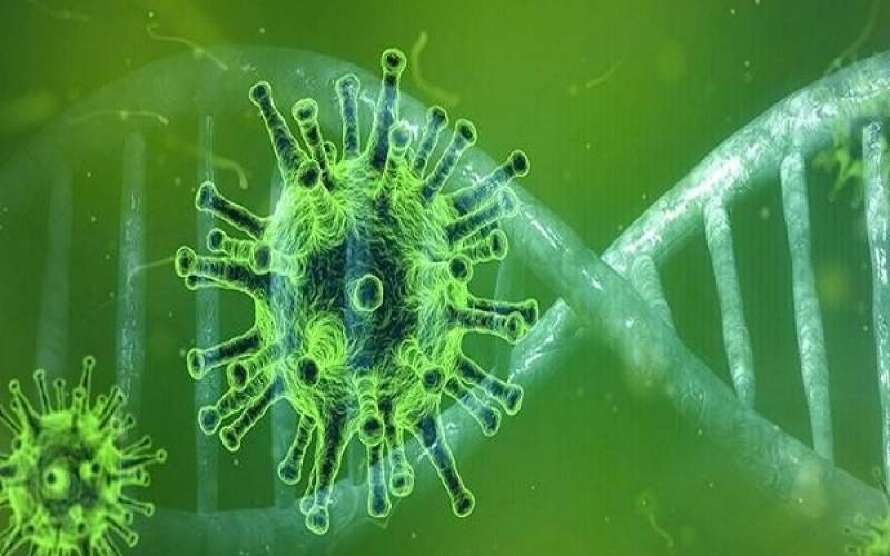نقش ژنتیک درواکنش ایمنی بدن به کووید۱۹