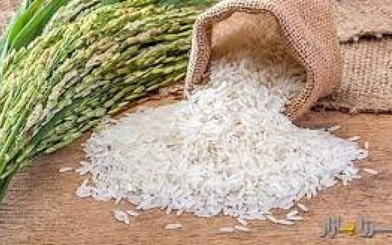 سود قیمت گران برنج شب عید در جیب دلال