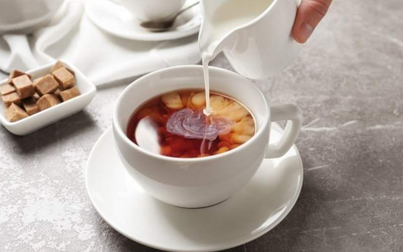 چرا شیر و کاکائو را نباید با چای مخلوط کنیم؟