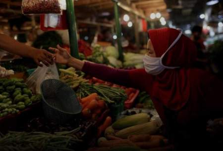 تداوم روند صعودی قیمت جهانی مواد غذایی
