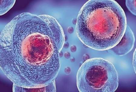 نقش سلول‌های بنیادی در درمان سرطان