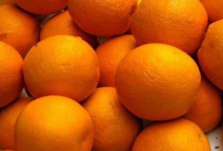 قیمت پرتقال از باغ تا بازار