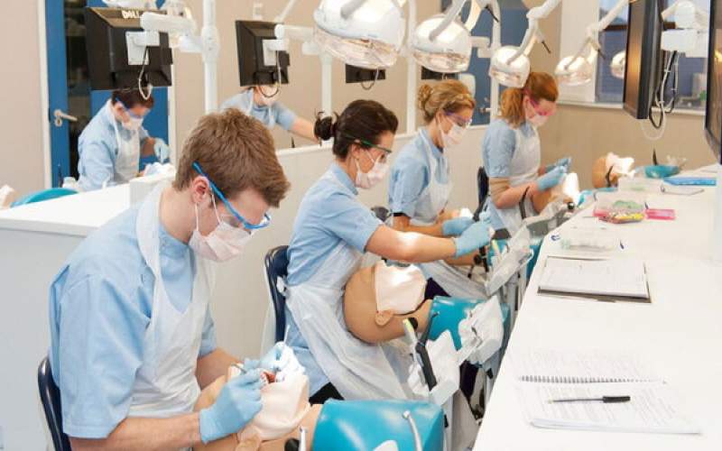 برترین‌ دانشگاه‌های دنیا در رشته دندانپزشکی