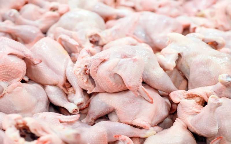 ممنوعیت صادرات مرغ به گمرکات اعلام شد