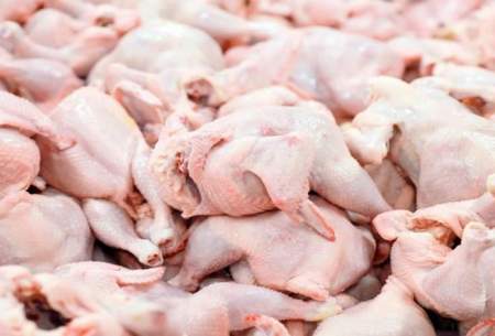 ممنوعیت صادرات مرغ به گمرکات اعلام شد