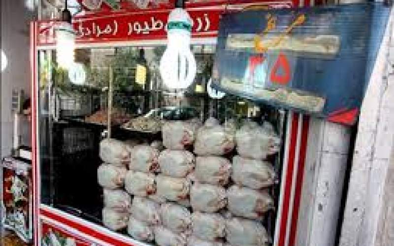 افزایش مصرف ماهی به دلیل گرانی گوشت قرمز