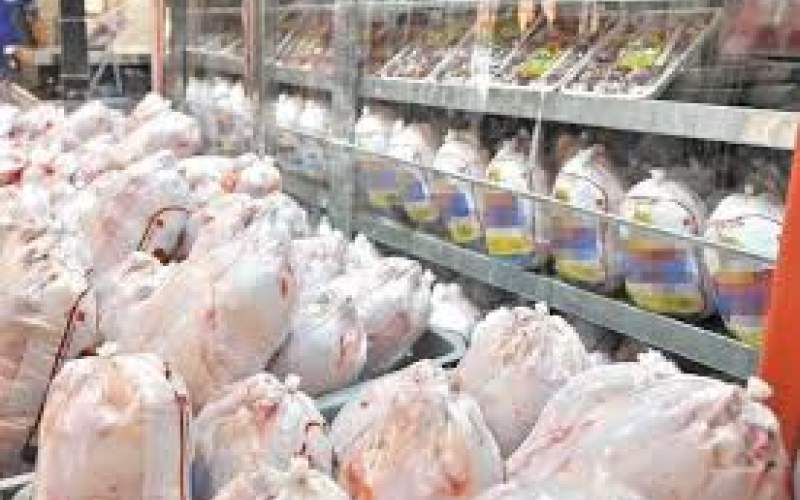 افزایش ۸۲درصدی قیمت مرغ طی ماه‌های اخیر