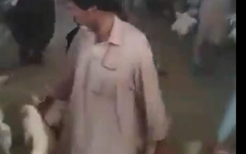هجوم مردم به یک مرغداری در نیکشهر