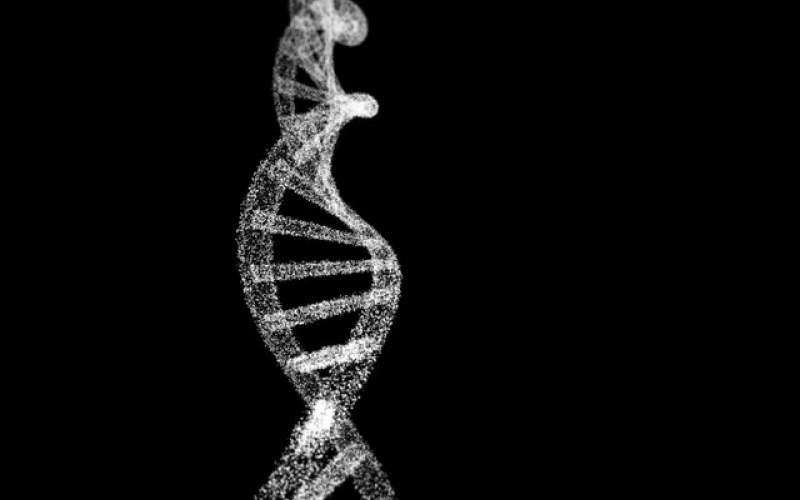 کشف ۱۳ ژن جدید که در بروز آلزایمر نقش دارند