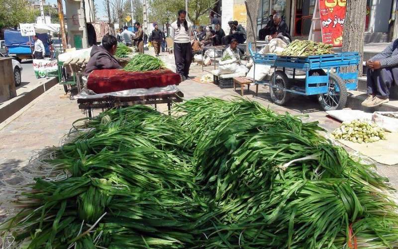 بازار داغ گیاهان بهاری در کرمانشاه