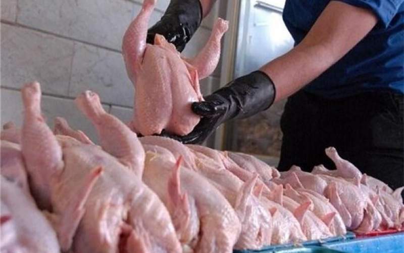 احتمال افزایش قیمت مرغ در هفته‌های آینده