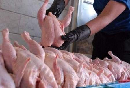 احتمال افزایش قیمت مرغ در هفته‌های آینده