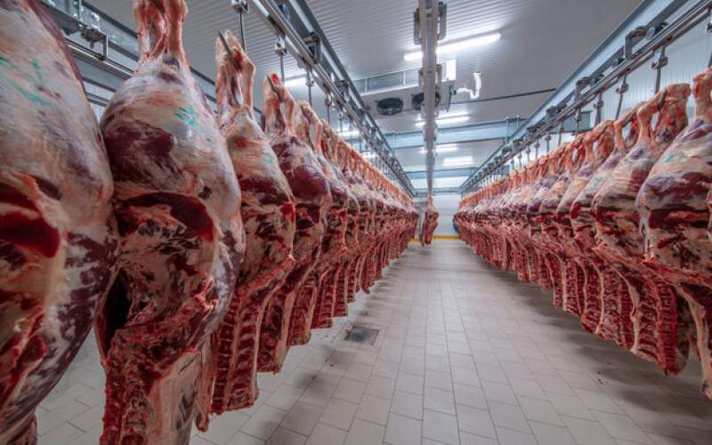 قیمت گوشت برای مصرف کننده ۱۲۰ هزار تومان
