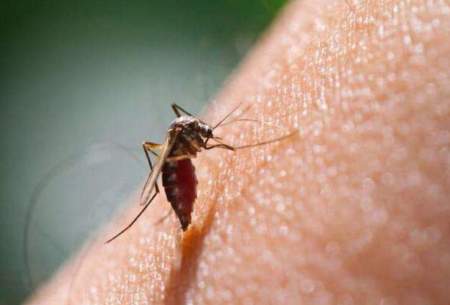 ظهور گونه مقاوم به درمان مالاریا در آفریقا
