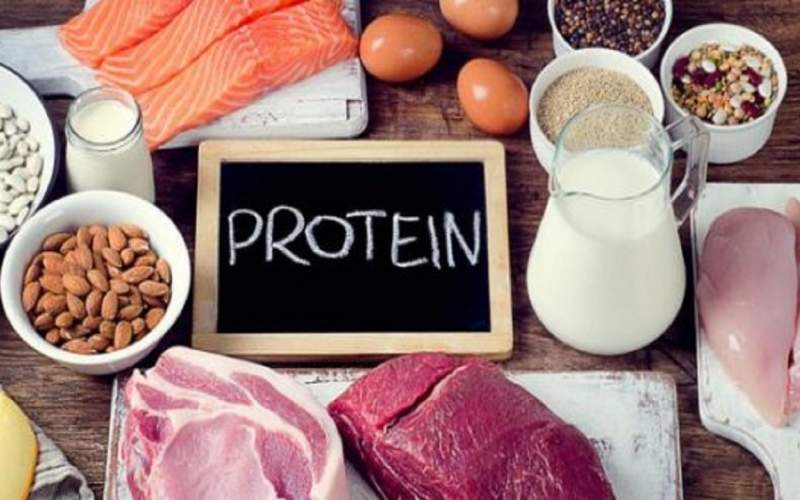 پروتئین، اصلی‌ترین فاکتور رژیم غذایی