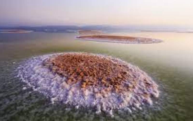 حق‌آبه دریاچه ارومیه از دست رفته است