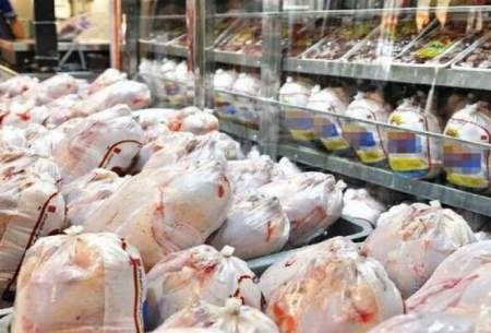 پرونده باز صادرات مرغ در سال ۹۹