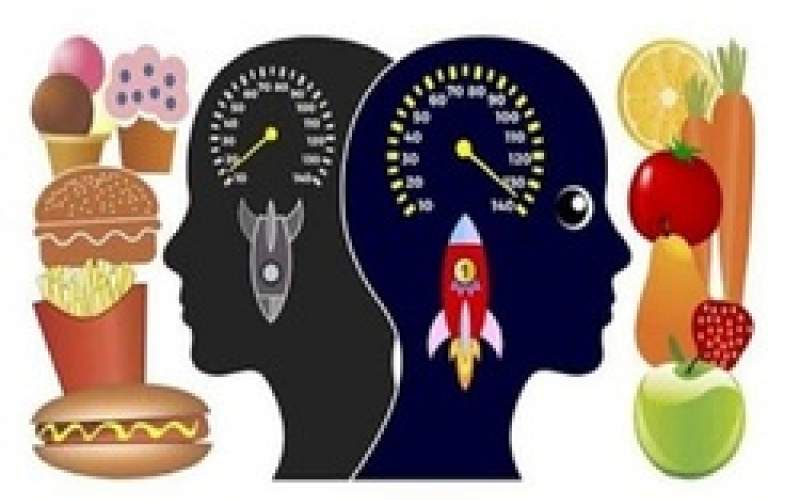 کدام غذاها منجر به تضعیف حافظه می‌شوند؟