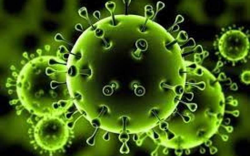 ویروس هندی از واکسن کرونا فرار می‌کند؟