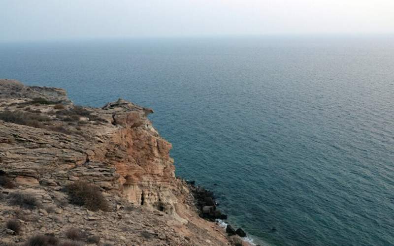 محیط زیست خلیج فارس شکننده است