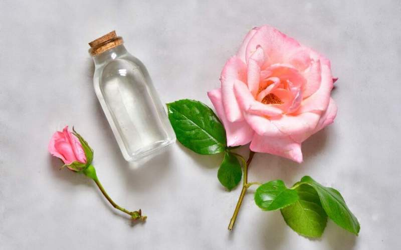 خواص باورنکردنی گلاب برای زیبایی و سلامتی