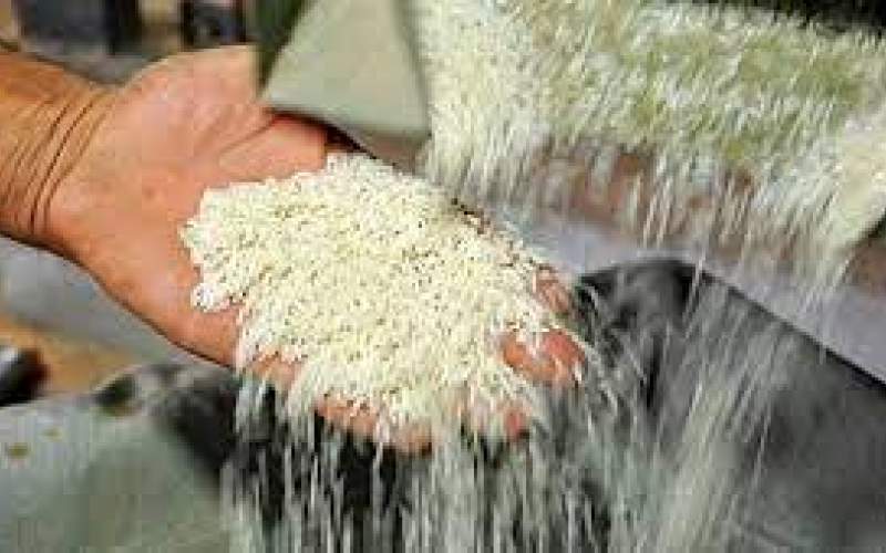 تنهاتا ۳ماه دیگر ذخایر برنج خارجی وجود دارد