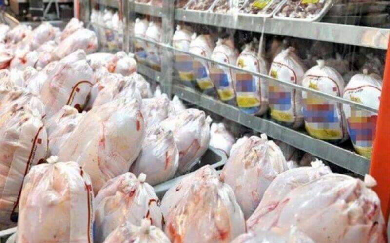 میزان واردات  مرغ به ۱۰۰ هزار تن رسید