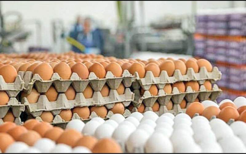 کاهش ۱۰ درصدی قیمت تخم مرغ