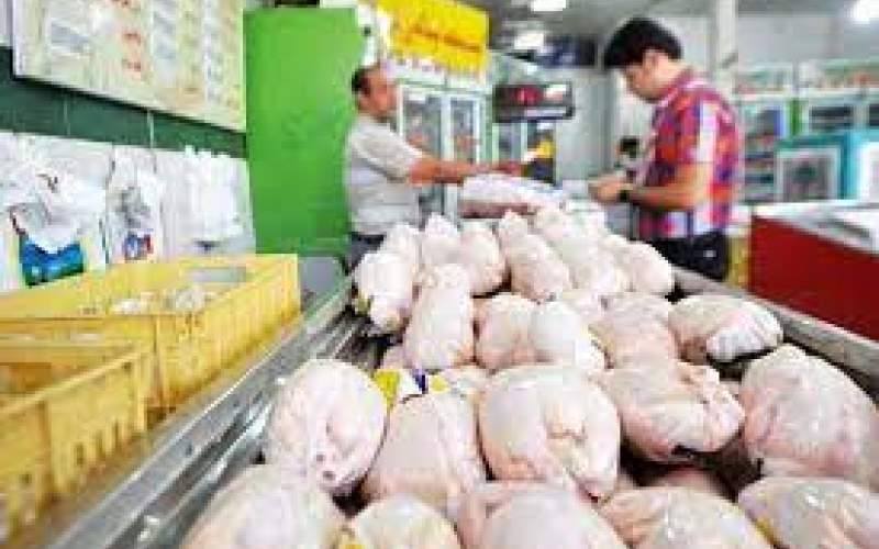 علت افزایش مجدد قیمت مرغ چیست؟