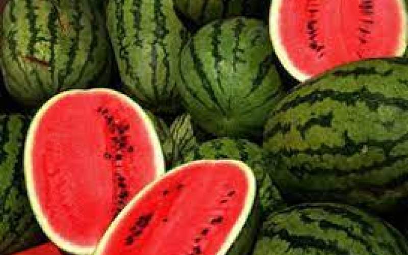 فاصله ۱۰هزار تومانی قیمت هندوانه در بازار