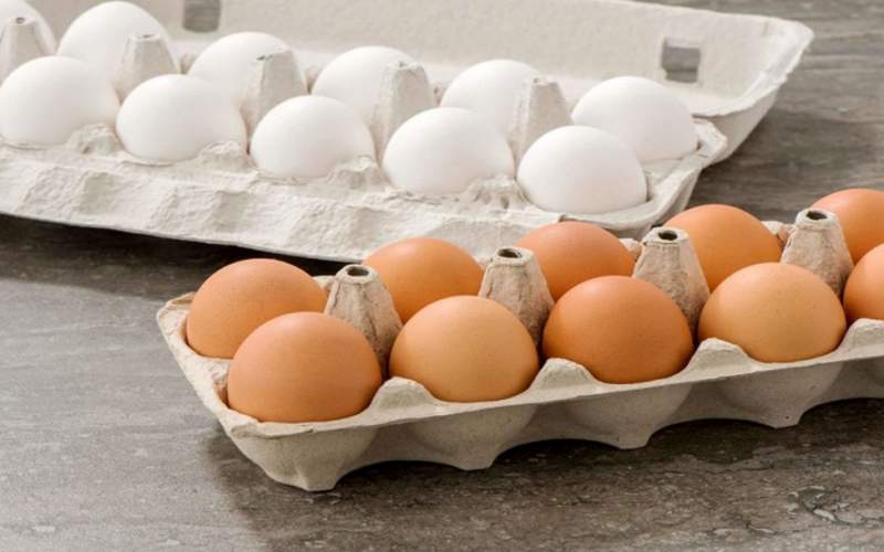 افزایش ۳۵ درصدی قیمت تخم مرغ
