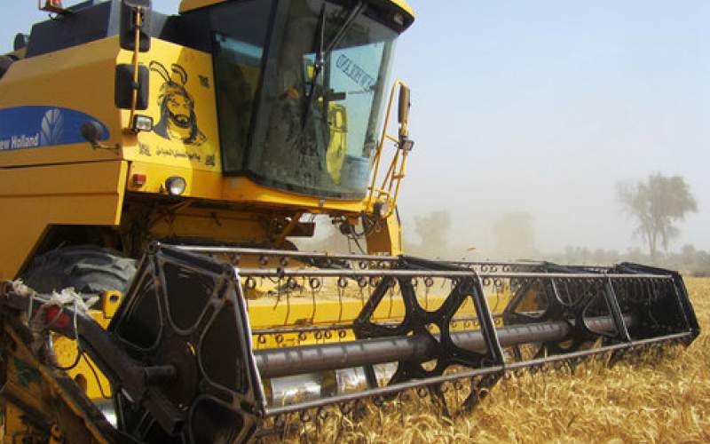 ۱ میلیون و ۸۰۰ هزار تن گندم از کشاورزان خرید شد
