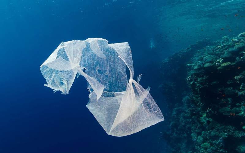 فاجعه پلاستیکی در اقیانوس‌ها/اینفوگرافیک