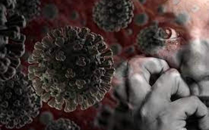 تاثیر ویروس کرونا بر زندگی ۸۰درصد مردم جهان