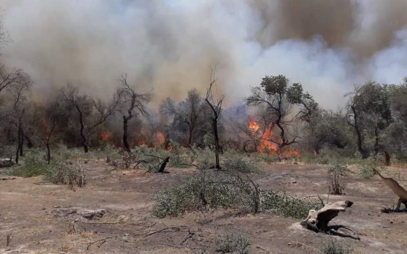 ادامه آتش سوزی در جنگل کرخه خوزستان