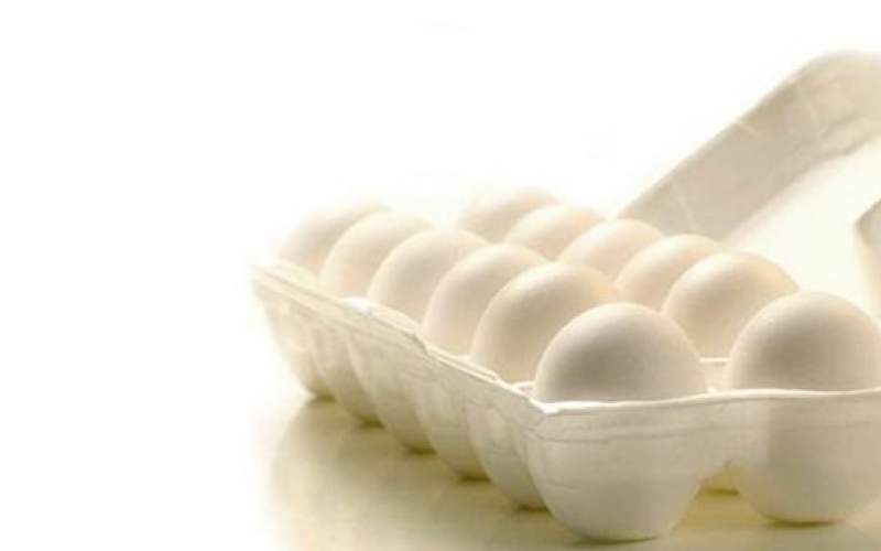 صادرات تخم مرغ ممنوع نشده است