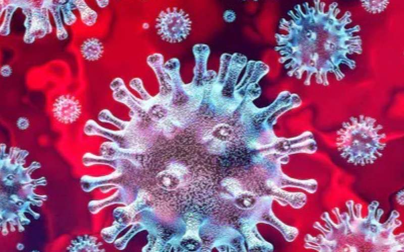 يافته‌های جدید درباره کرونا ویروس