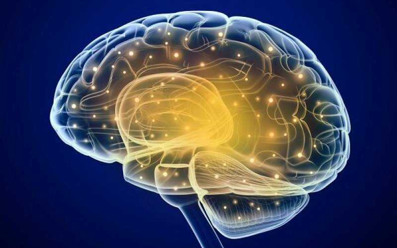 درمان سردرد با شبیه سازی شبکه عصبی مغز
