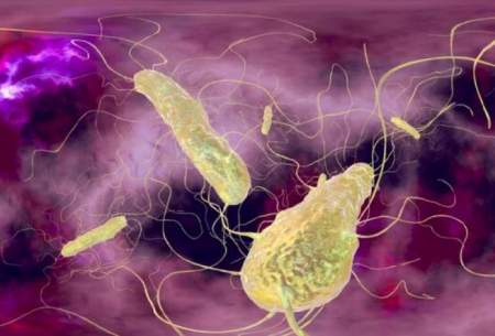 کنترل باکتری روده با کمک یک رژیم غذایی