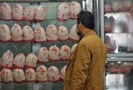 خرید مرغ در اصفهان باکارت ملی الزامی شد