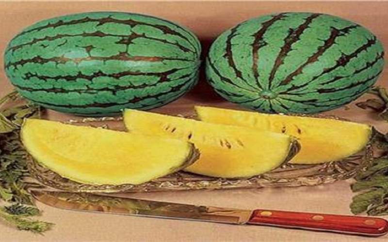 فوائد هندوانه زرد یا آناناسی که باید بدانیم