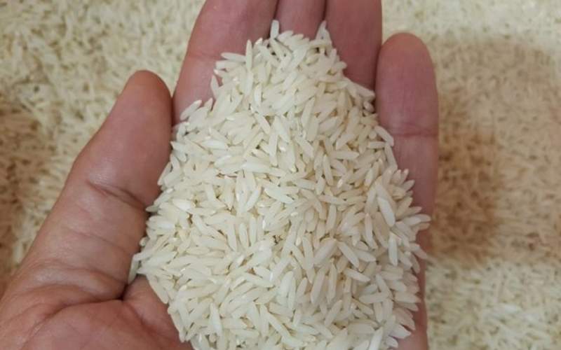 برنج در دو سال اخیر چنددرصد گران شده است؟