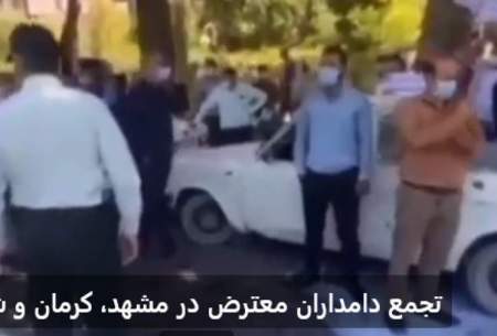 تجمع دامداران‌معترض‌در مشهد،کرمان و‌شیراز