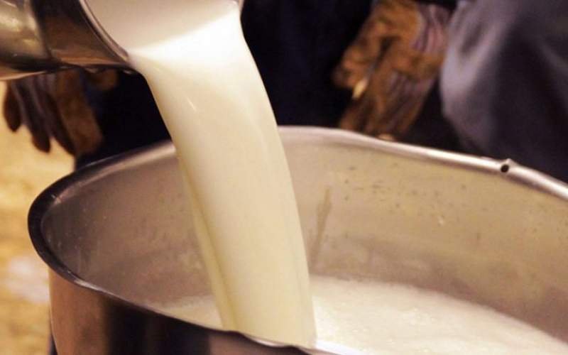 افزایش غیرقانونی قیمت شیر خام