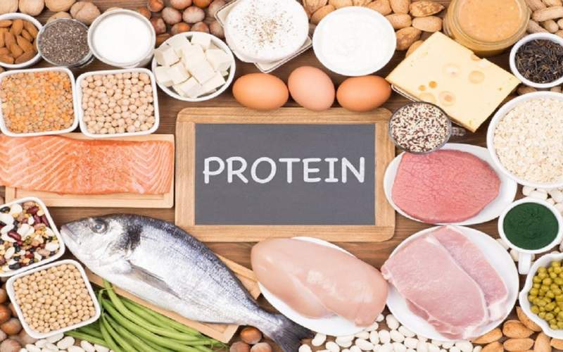 بدن به چه میزان پروتئین نیازمند است؟