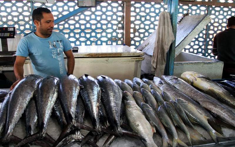 مصرف سرانه ماهی در ایران نصف شد