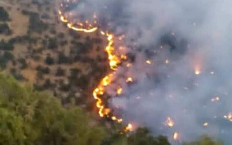 آتش گسترده در جنگل‌ها و مراتع نارک گچساران
