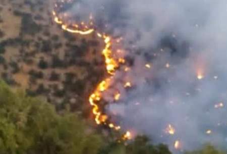 آتش گسترده در جنگل‌ها و مراتع نارک گچساران