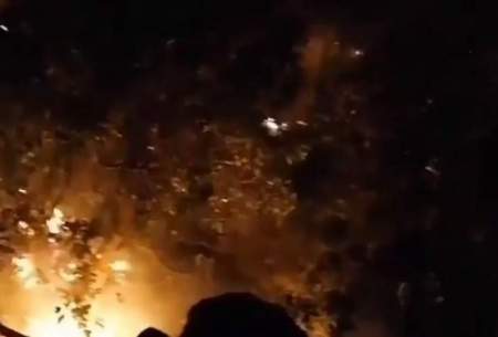 آتش جنگل‌های زاگرس در گچساران را بلعید