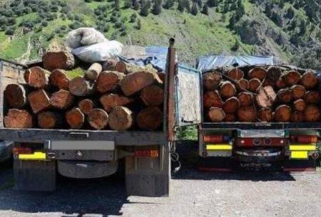 کشف ۹ تن چوب قاچاق در شهرستان سنندج